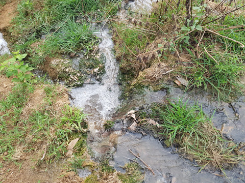 Đồng[-]Nai:Trại[-]heo[-]của[-]Công[-]ty[-]C.P[-]xả[-]nước[-]thải[-]chưa[-]xử[-]lý[-]ra[-]môi[-]trường